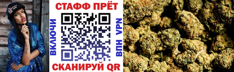 Какие есть наркотики Шилка Канабис  Псилоцибиновые грибы  Экстази  Меф мяу мяу  КОКАИН  A-PVP 