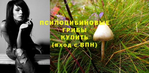 каннабис Баксан
