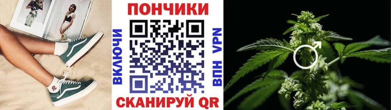 Шишки марихуана Bruce Banner как найти закладки Шилка